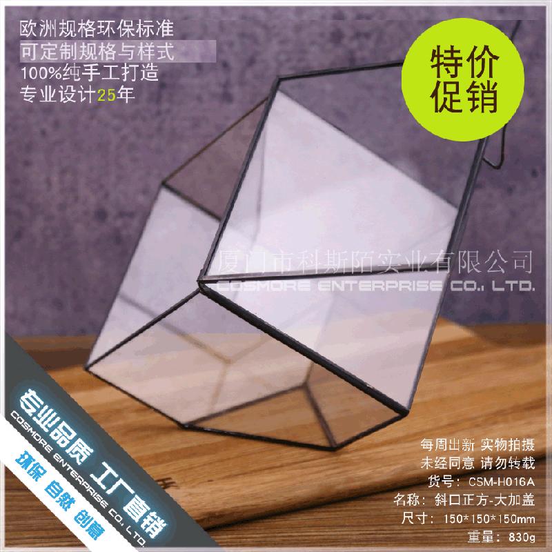 Chậu Đa Giác DG-64 Nhà kính thủy tinh lớn của nhà sản xuất, có thiết kế sáng tạo, hoa bền vững, thảo mộc, cảnh quan nhỏ và các chậu hoa đa thực vật