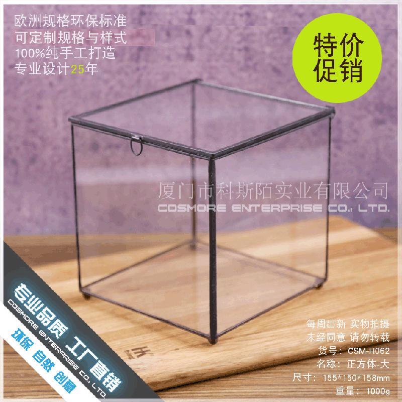 DG-12 Hộp quà thủy tinh với nhà hoa kính lớn và cây cỏ đông cứu