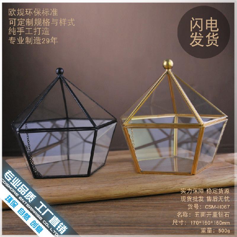 DG-41 Mặt nắp nổi bậc thứ năm, kim cương, cây thực vật đầy mồ hôi, cảnh quan nhỏ độc đáo, thủy tinh không định hình, hoa bền vĩnh cửu, hộp phòng thương mại