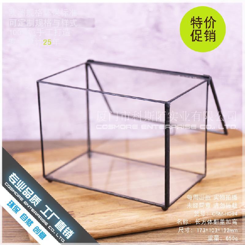 DG-52 Hộp kính hình hộp chữ nhật có kính cao với phong cảnh nhỏ của hoa bền vững và thảo mộc