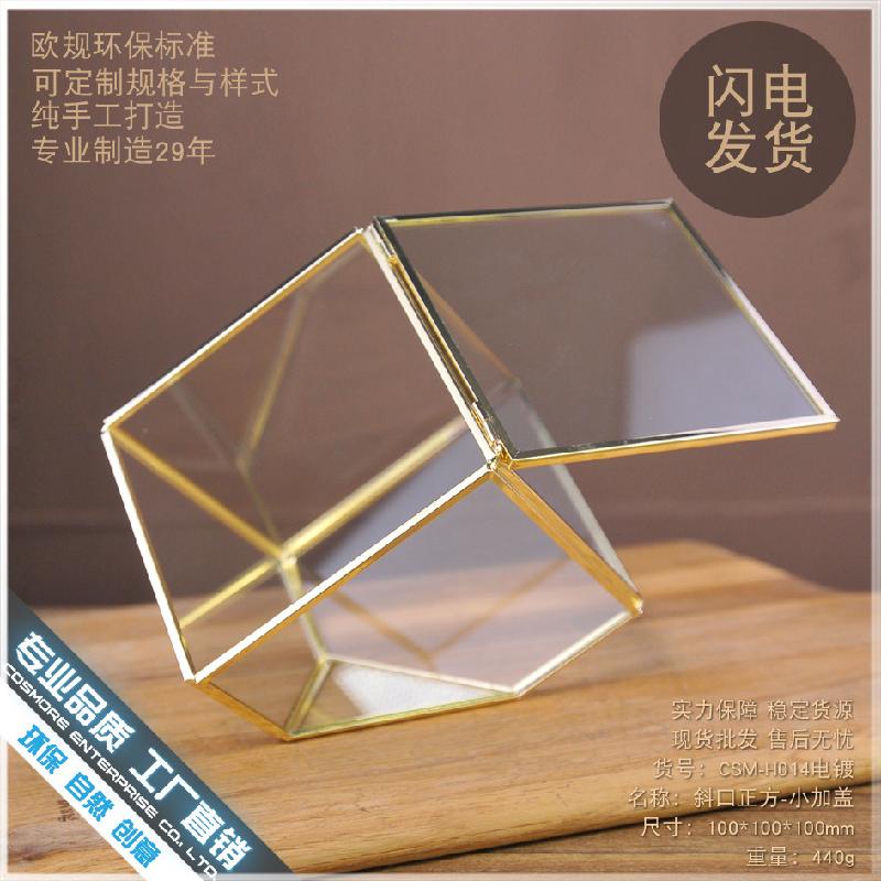 DG-210 Vỏ hộp quà cao cấp bằng kim loại được đổ bạc, có một cạnh dốc, chứa cây thực vật nhiều thịt, thảm mầm, cảnh quan nhỏ trong thể thức kính Hoa bền vĩnh cửu