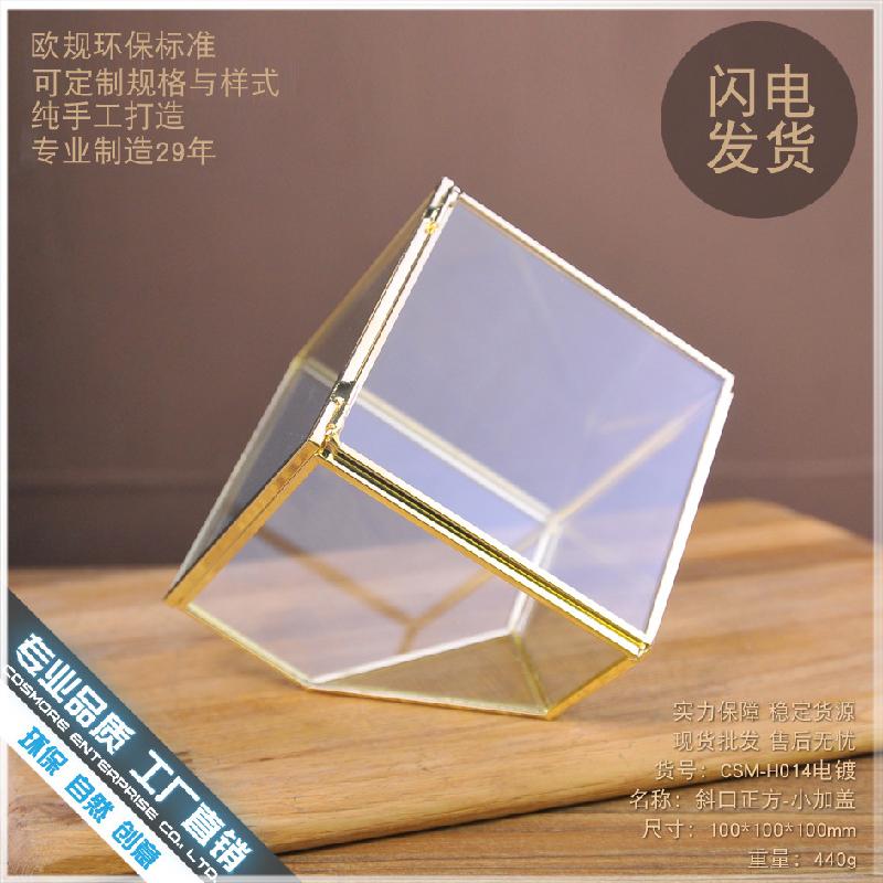 DG-210 Vỏ hộp quà cao cấp bằng kim loại được đổ bạc, có một cạnh dốc, chứa cây thực vật nhiều thịt, thảm mầm, cảnh quan nhỏ trong thể thức kính Hoa bền vĩnh cửu