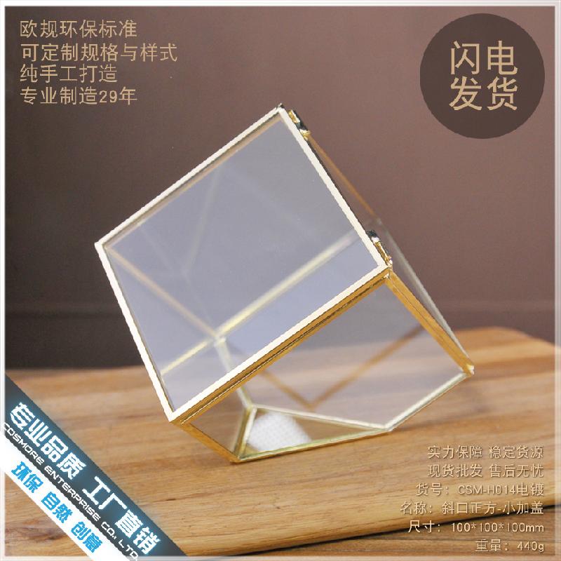 DG-210 Vỏ hộp quà cao cấp bằng kim loại được đổ bạc, có một cạnh dốc, chứa cây thực vật nhiều thịt, thảm mầm, cảnh quan nhỏ trong thể thức kính Hoa bền vĩnh cửu