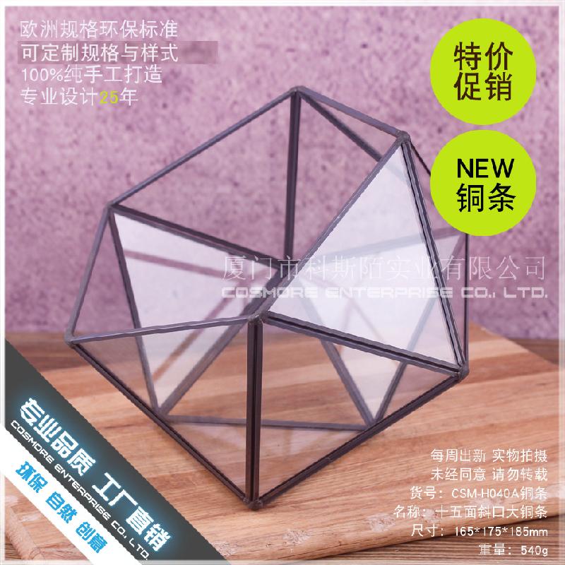 Chậu Đa Giác DG-217 Đĩa đồng bảy mặt nghiêng, nhà hoa thịnh thụy vĩnh cửu, cỏ thảo tím, cảnh quan nhỏ, trong suốt, sáng tạo, đầy đủ thực vật