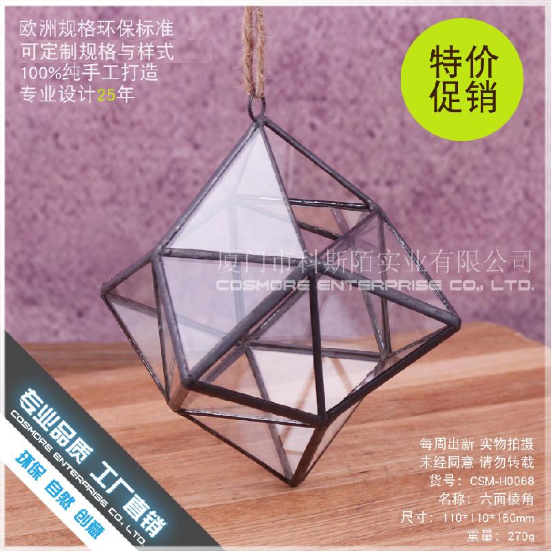 DG-229 Lọ hoa từ thủy tinh có 6 mặt cạnh, cây hoa sống đời, thảo mộc, cảnh quan nhỏ, thực vật sinh học trong chai