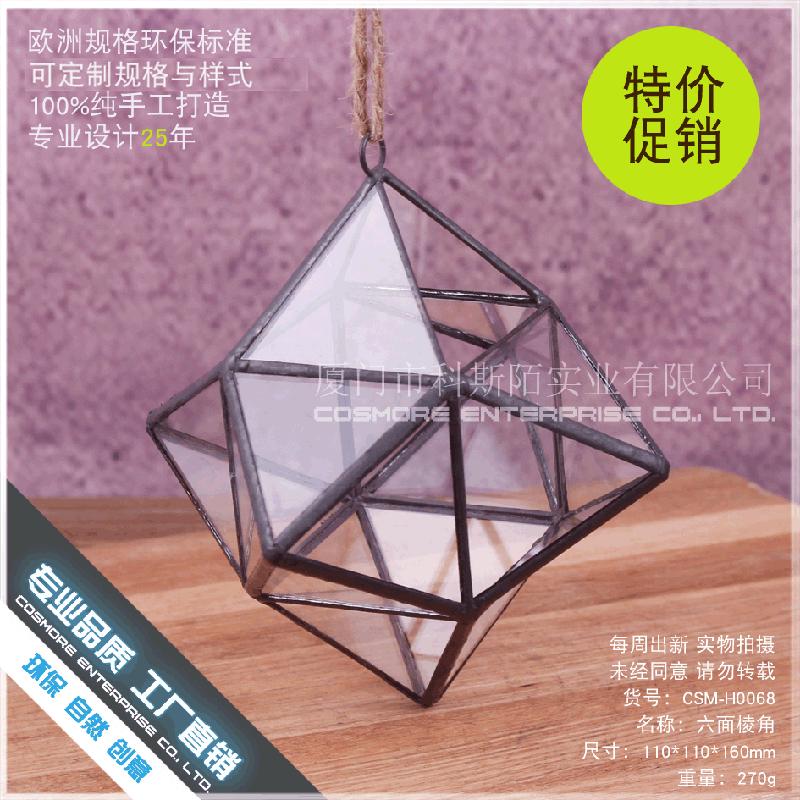 Chậu Đa Giác DG-229 Lọ hoa từ thủy tinh có 6 mặt cạnh, cây hoa sống đời, thảo mộc, cảnh quan nhỏ, thực vật sinh học trong chai