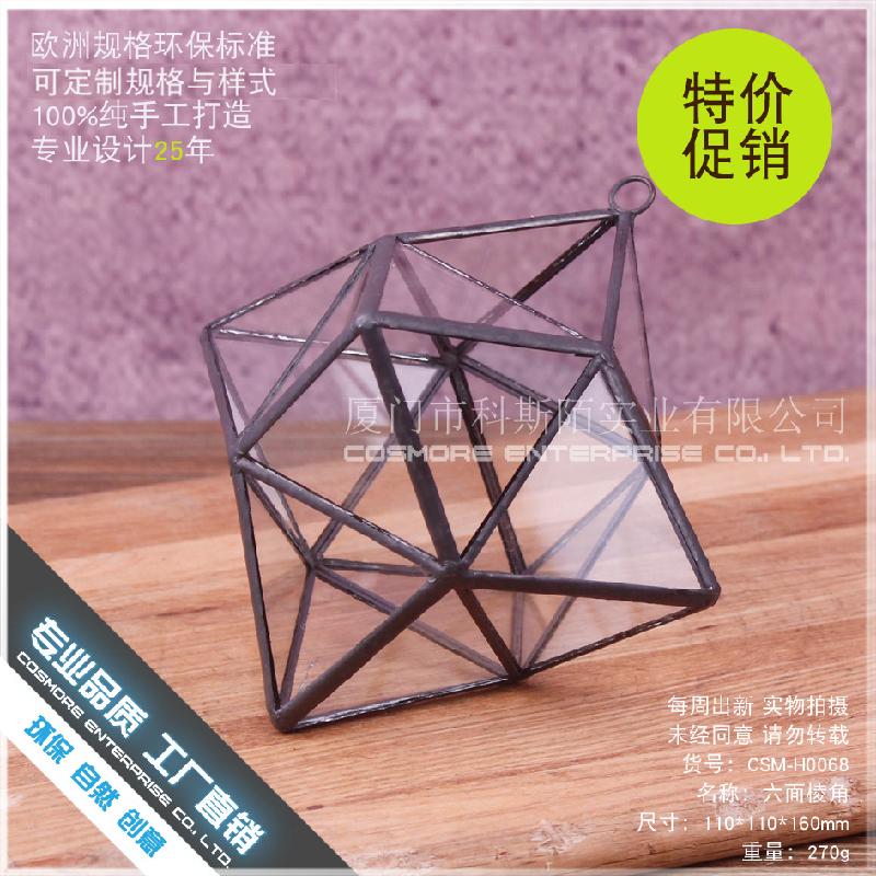 DG-229 Lọ hoa từ thủy tinh có 6 mặt cạnh, cây hoa sống đời, thảo mộc, cảnh quan nhỏ, thực vật sinh học trong chai