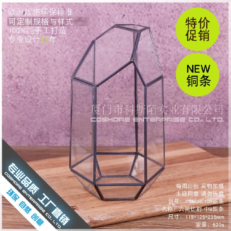 DG-224 Cắt bằng 6 mặt thanh đồng, phòng hoa kính B, hoa thịnh vượng, thảo mộc, cảnh quan nhỏ, trong suốt, sáng tạo, hộp cây đa thực vật bán sỉ