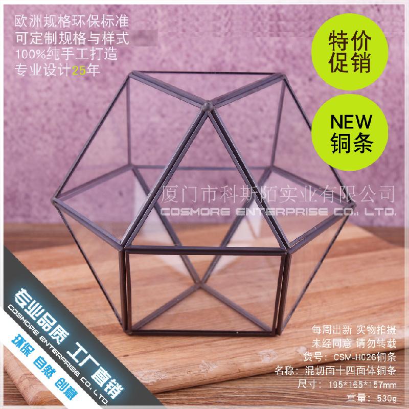 DG-254 Không gian vi sinh công nghệ sáng tạo cây cối, hoa chén hình học, kính thể thao, hoa thực vật bền vững, hộp hoa, thùng hoa, chai hoa