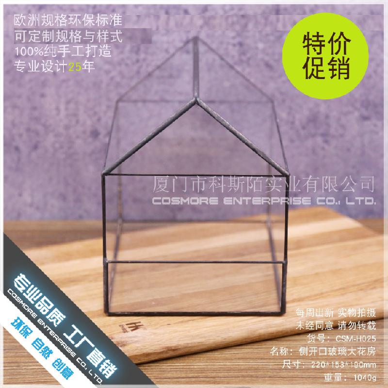 DG-89 Cửa sổ kính lớn có hoa, cây thực vật mọc tả, cảnh quan nhỏ của thịt mọc, hộp hoa bền vĩ đều