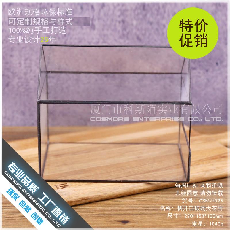 DG-89 Cửa sổ kính lớn có hoa, cây thực vật mọc tả, cảnh quan nhỏ của thịt mọc, hộp hoa bền vĩ đều