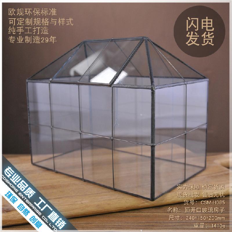 DG-31 Nhà kính khuyết, nhỏ, cây thực vật đông cơ, thực vật mụn, cảnh quan nhỏ, kính không đều, hoa không bao giờ chết