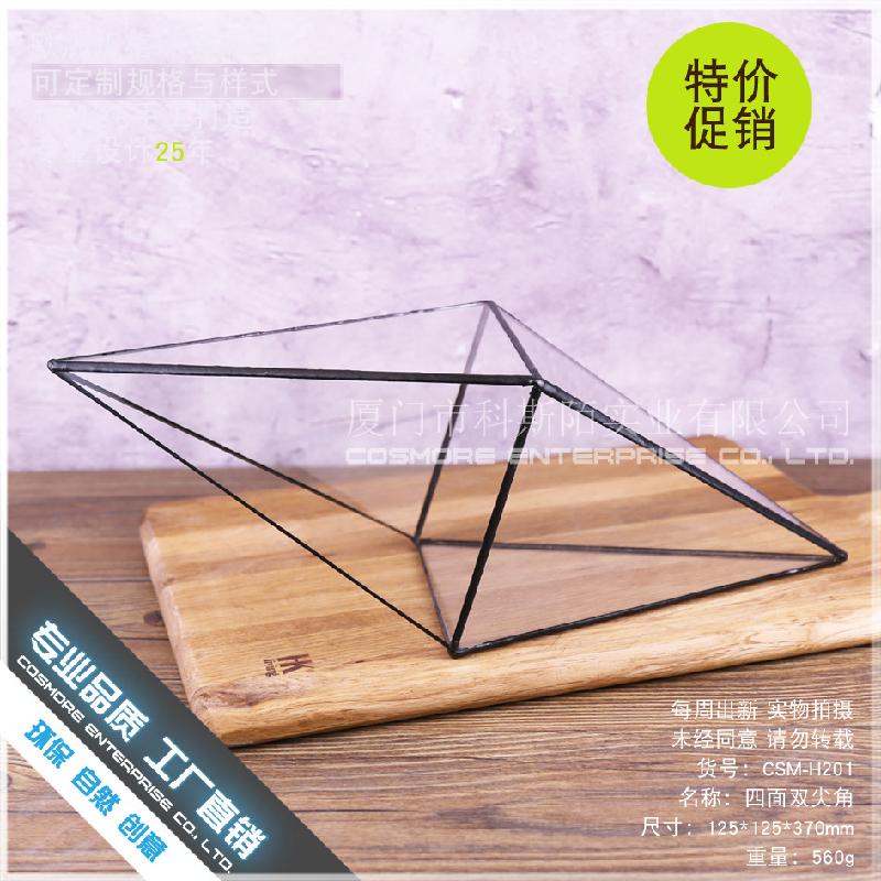 DG-183 Cảnh quan nhỏ với cây cỏ, của cỏ lá mọng xanh và thực vật nhỏ