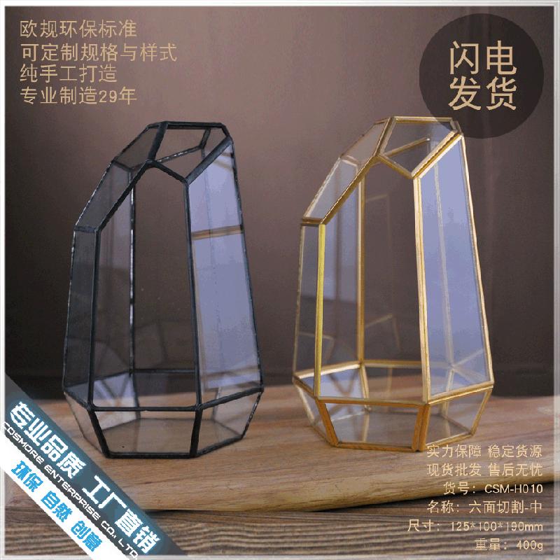 DG-10 Tạo cảnh quan rừng mưa bằng sứ mệnh động tượng của bề mặt bàn tính