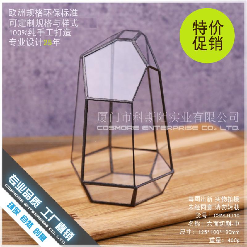 DG-10 Tạo cảnh quan rừng mưa bằng sứ mệnh động tượng của bề mặt bàn tính