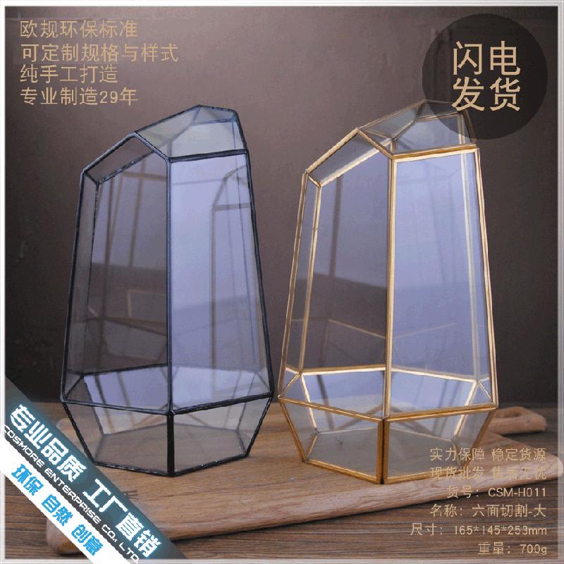 DG-8 Cây thực vật lá cứng, phòng kính thủy tinh, hộp sinh thái nhỏ, quà tặng sáng tạo và hàng loạt cắt lớn