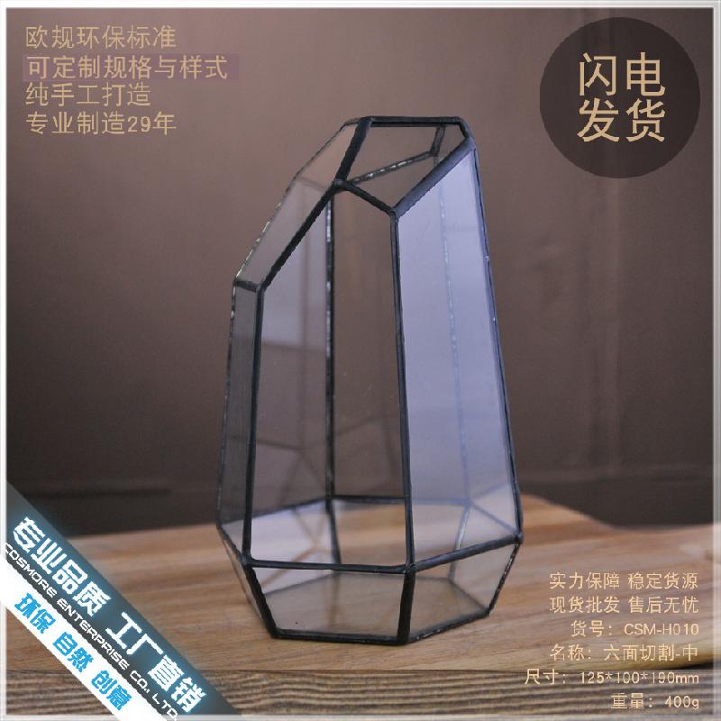 DG-10 Tạo cảnh quan rừng mưa bằng sứ mệnh động tượng của bề mặt bàn tính