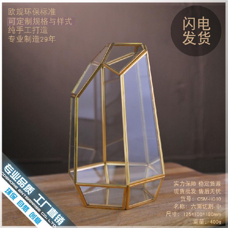 DG-10 Tạo cảnh quan rừng mưa bằng sứ mệnh động tượng của bề mặt bàn tính