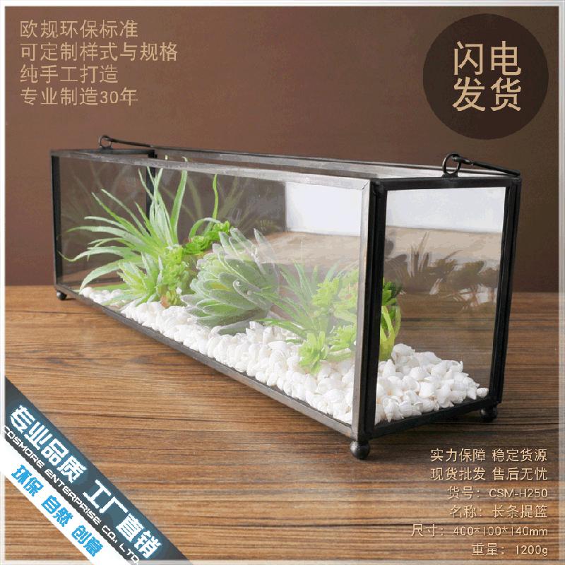 DG-105 Vật dụng nội thất phong cách Âu, bộ trang trí kính, chậu hoa cây thực vật đa rễ, chậu cây xanh, thùng thảm minh bạch, thiết kế cảnh quan nhỏ, trang trí trọn gói