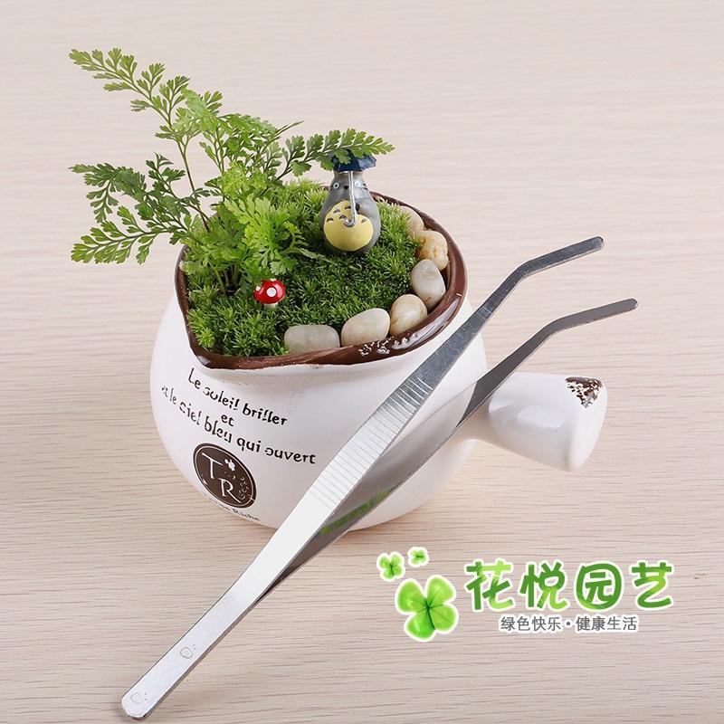 Dụng Cụ Làm Vườn Nhíp Thép 17 cm (ZC-879)