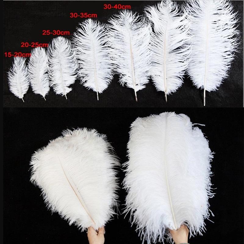 Lông đà điểu trắng từ 15-80cm, lý tưởng cho trang trí sân khấu và sự kiện. Cung cấp số lượng lớn cho đám cưới và DIY. Sẵn có hàng, mua bán buôn.