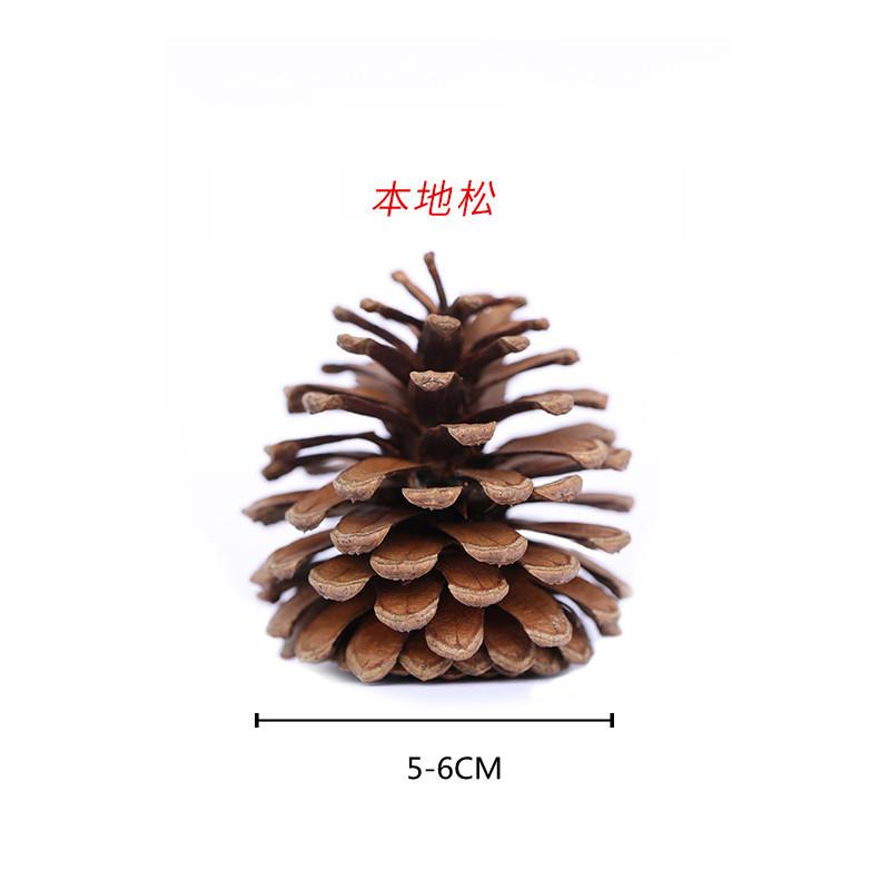 Trang trí Noel: Quả thông cho giáo dục mầm non, trang trí