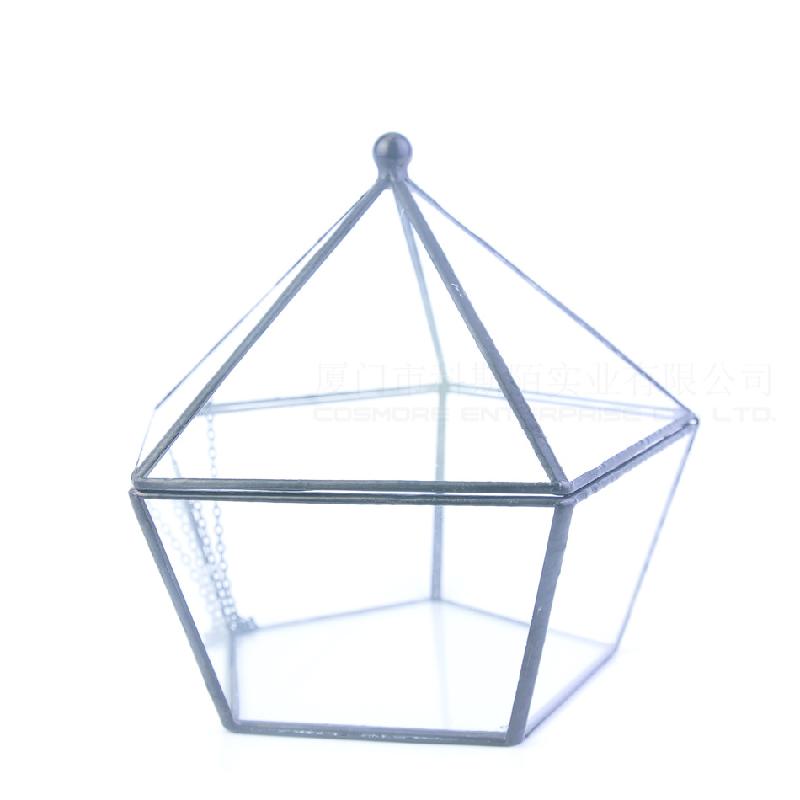 DG-41 Mặt nắp nổi bậc thứ năm, kim cương, cây thực vật đầy mồ hôi, cảnh quan nhỏ độc đáo, thủy tinh không định hình, hoa bền vĩnh cửu, hộp phòng thương mại