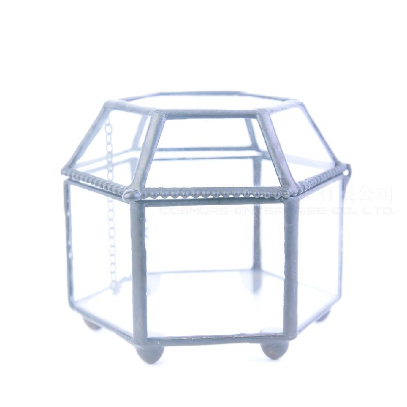 DG-76 Những chiếc hộp kính nhỏ, những bông hoa bền đời, thảm cỏ, thực vật nhỏ