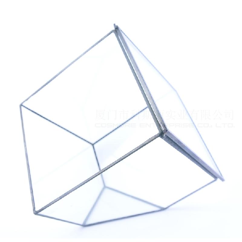 DG-64 Nhà kính thủy tinh lớn của nhà sản xuất, có thiết kế sáng tạo, hoa bền vững, thảo mộc, cảnh quan nhỏ và các chậu hoa đa thực vật