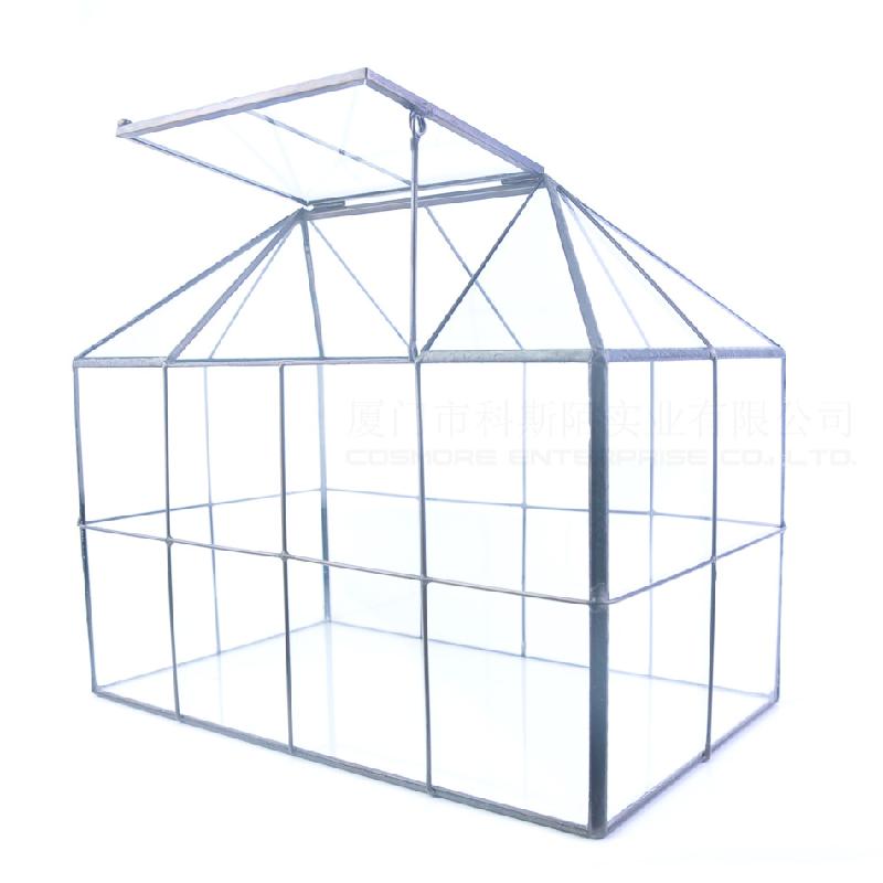 DG-31 Nhà kính khuyết, nhỏ, cây thực vật đông cơ, thực vật mụn, cảnh quan nhỏ, kính không đều, hoa không bao giờ chết