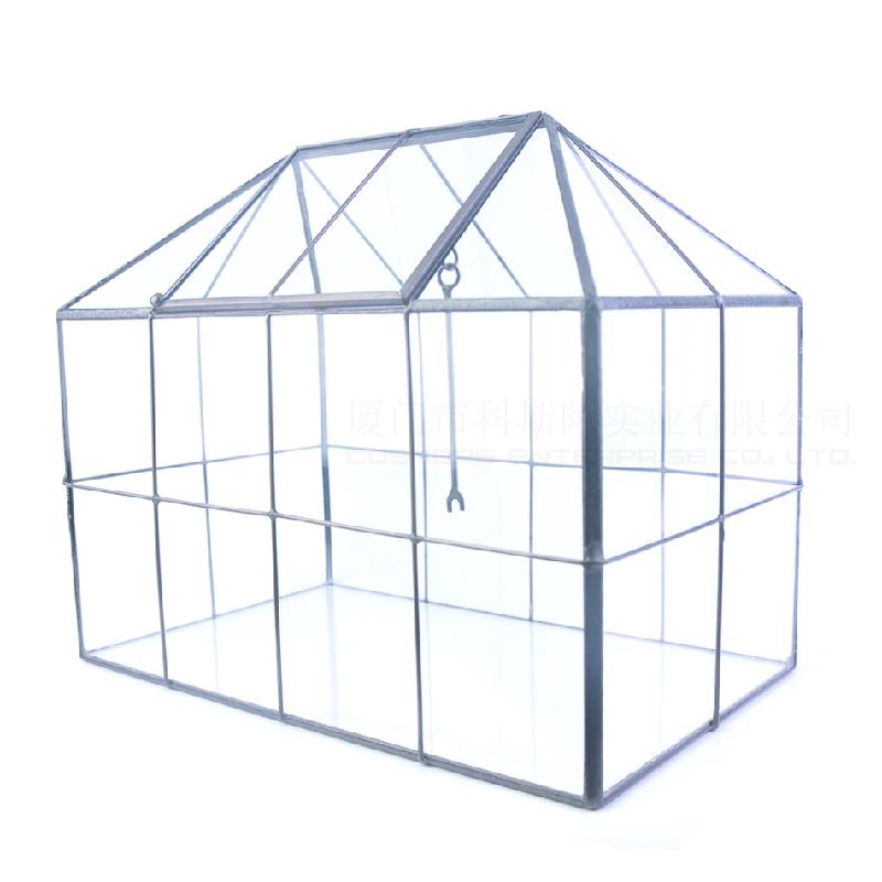 DG-31 Nhà kính khuyết, nhỏ, cây thực vật đông cơ, thực vật mụn, cảnh quan nhỏ, kính không đều, hoa không bao giờ chết