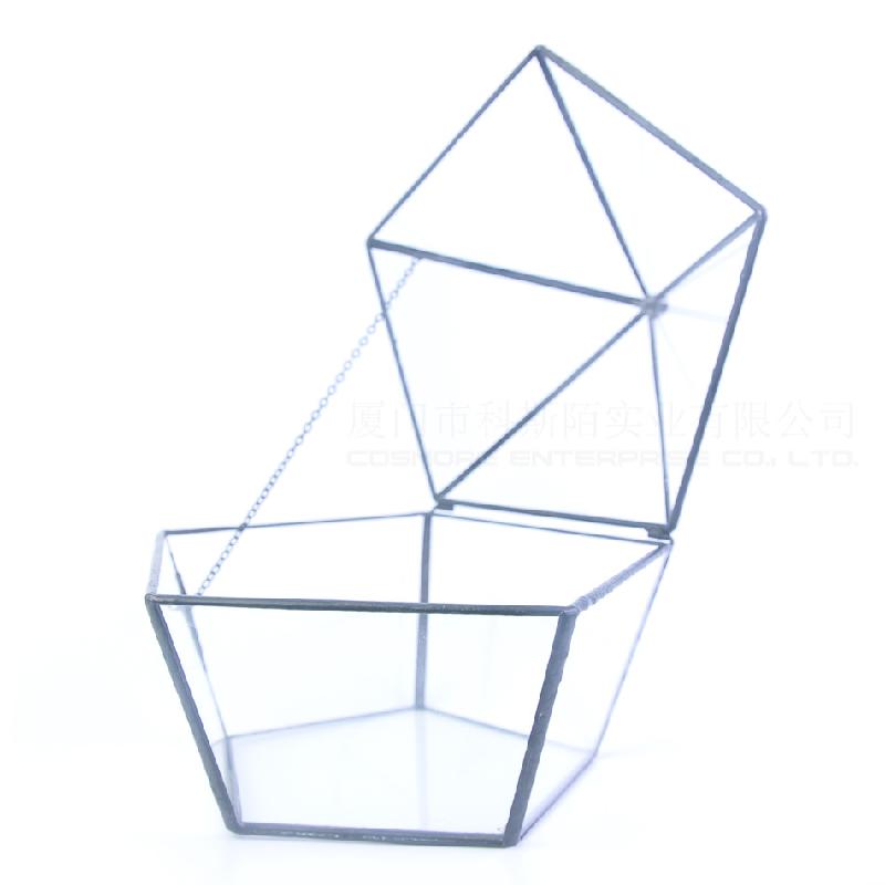 DG-41 Mặt nắp nổi bậc thứ năm, kim cương, cây thực vật đầy mồ hôi, cảnh quan nhỏ độc đáo, thủy tinh không định hình, hoa bền vĩnh cửu, hộp phòng thương mại