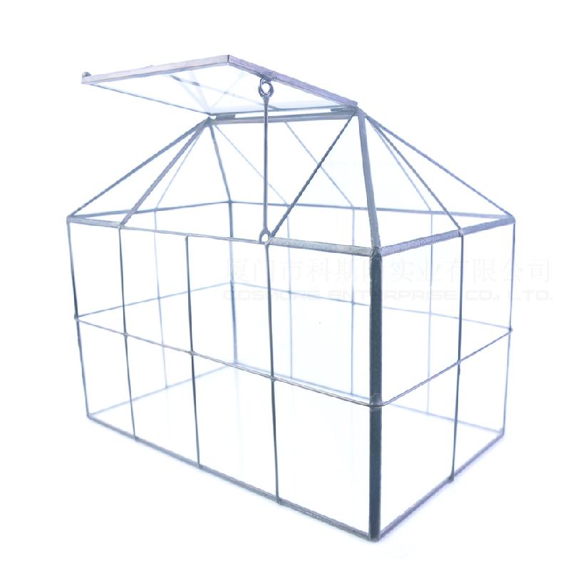 DG-31 Nhà kính khuyết, nhỏ, cây thực vật đông cơ, thực vật mụn, cảnh quan nhỏ, kính không đều, hoa không bao giờ chết
