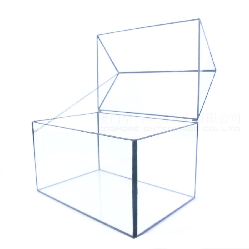 DG-16 Cửa hộp kính lớn có hoa, cây thực vật tảo, thảo mộc với cảnh quan nhỏ