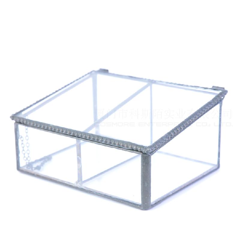 DG-236 Hộp trang sức bằng kính hai ô, cây thực vật đông cơ, thực vật mộc nhỏ, cảnh quan nhỏ, không đều, kính lớn, hoa bền vững, hộp nhà phân phối