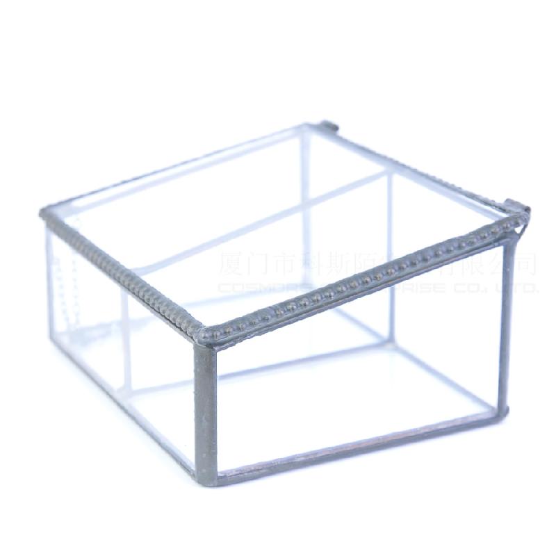 DG-236 Hộp trang sức bằng kính hai ô, cây thực vật đông cơ, thực vật mộc nhỏ, cảnh quan nhỏ, không đều, kính lớn, hoa bền vững, hộp nhà phân phối
