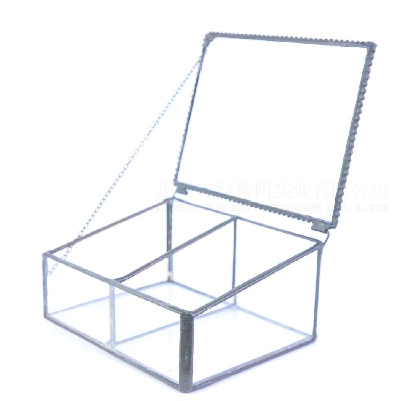 Chậu Đa Giác DG-236 Hộp trang sức bằng kính hai ô, cây thực vật đông cơ, thực vật mộc nhỏ, cảnh quan nhỏ, không đều, kính lớn, hoa bền vững, hộp nhà phân phối