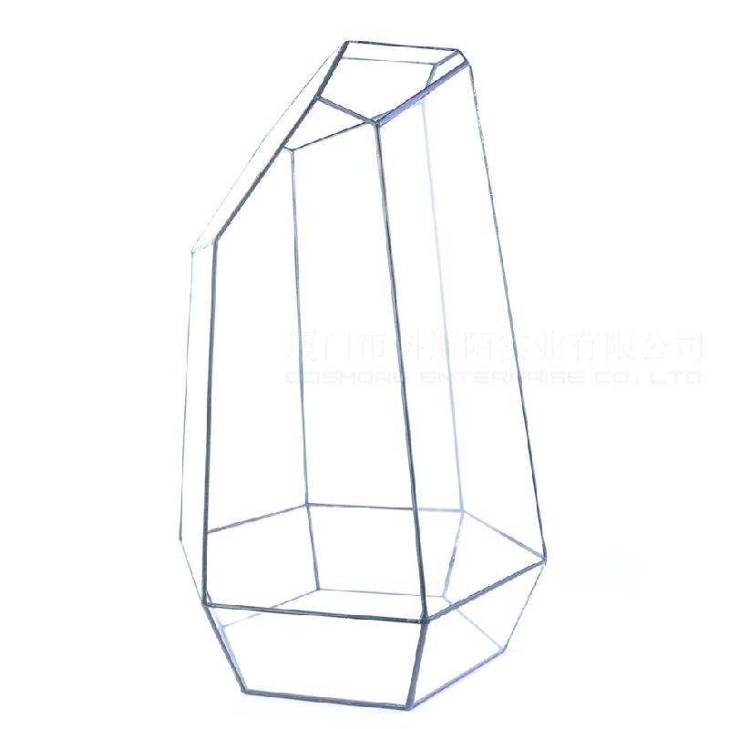 DG-43 Cắt bốn mặt to lớn, cây thực vật thịt nhiều, thảo mộc, cảnh quan nhỏ, kính vừa không đều, hoa bền vững nhỏ trong hộp