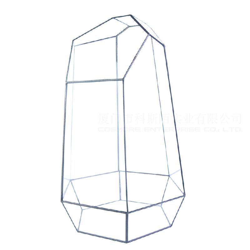 DG-43 Cắt bốn mặt to lớn, cây thực vật thịt nhiều, thảo mộc, cảnh quan nhỏ, kính vừa không đều, hoa bền vững nhỏ trong hộp