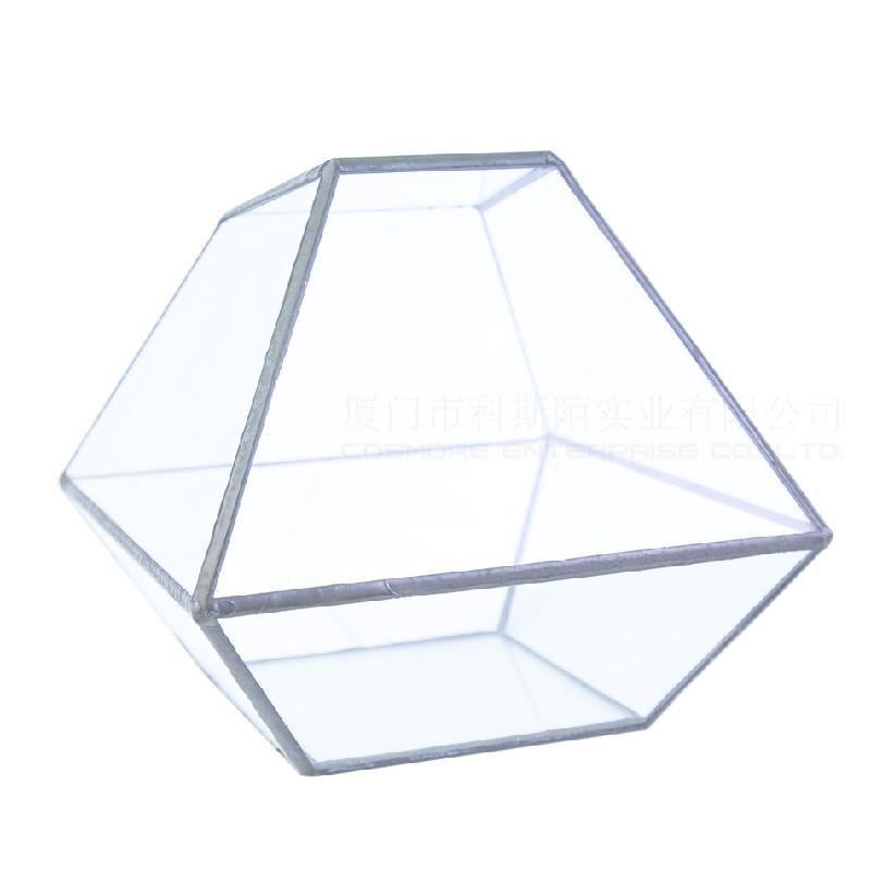 DG-62 Các bình hoa độc đáo, trong suốt, cây cỏ nhiều thịt, thiết kế nhỏ cảnh