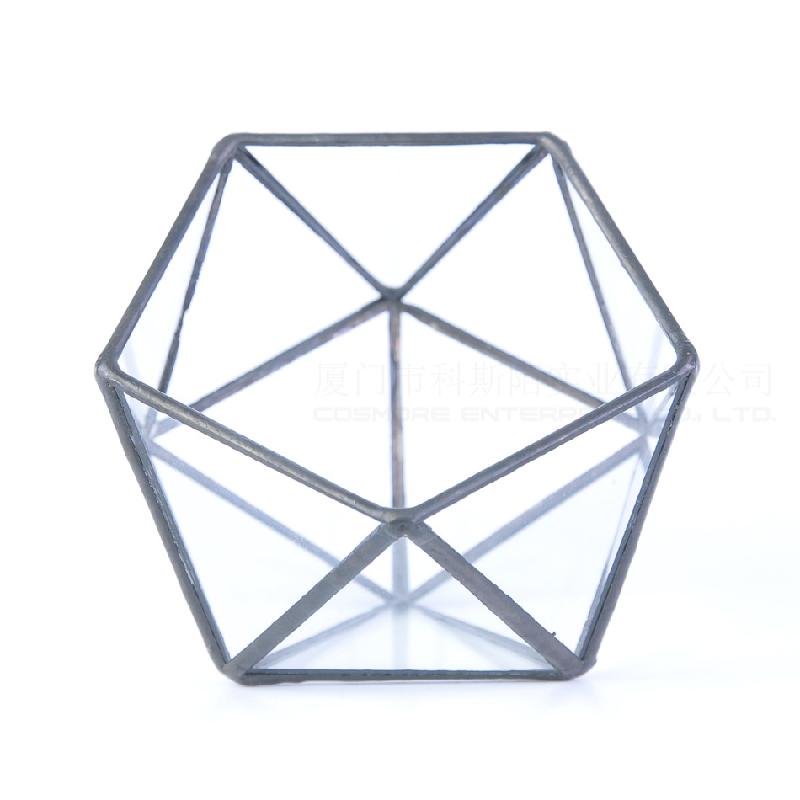 DG-85 Khảm đa góc, cây thực vật nhiều thịt, thảm mầm, cảnh vật nhỏ không đều, hộp hoa bền vĩnh cửu kính lớn