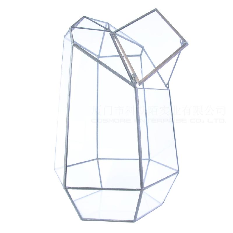 DG-22 Cắt kính cửa béo lớn, phong cảnh nhỏ, hoa bền vững, thảo mộc, cảnh quan trong suốt, ý tưởng sáng tạo, hộp hoa đa thực vật sỉ