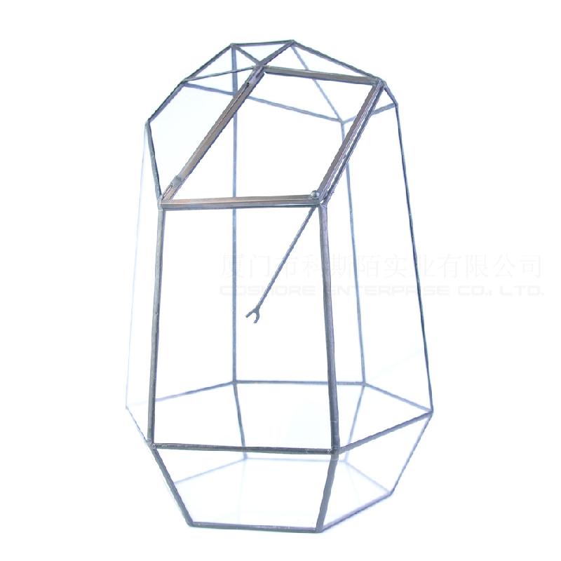 DG-22 Cắt kính cửa béo lớn, phong cảnh nhỏ, hoa bền vững, thảo mộc, cảnh quan trong suốt, ý tưởng sáng tạo, hộp hoa đa thực vật sỉ