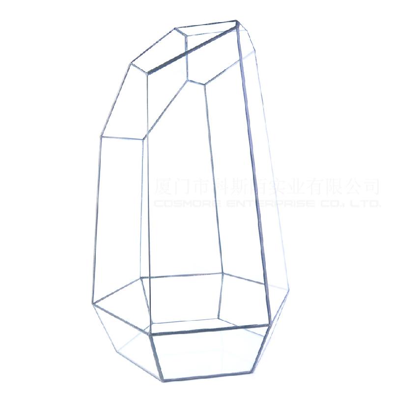 DG-43 Cắt bốn mặt to lớn, cây thực vật thịt nhiều, thảo mộc, cảnh quan nhỏ, kính vừa không đều, hoa bền vững nhỏ trong hộp