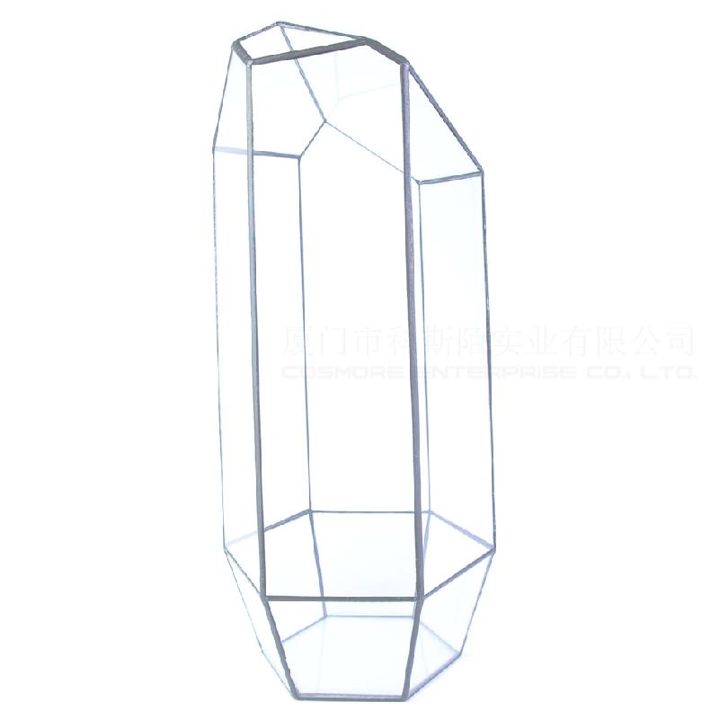 DG-258 Cắt lẻ 6 mặt, gọn gàng, cây thực vật tảo, thảo mộc, cảnh nhỏ độc đáo, kính không định hình, hoa nhỏ bền đời, hộp sỉ