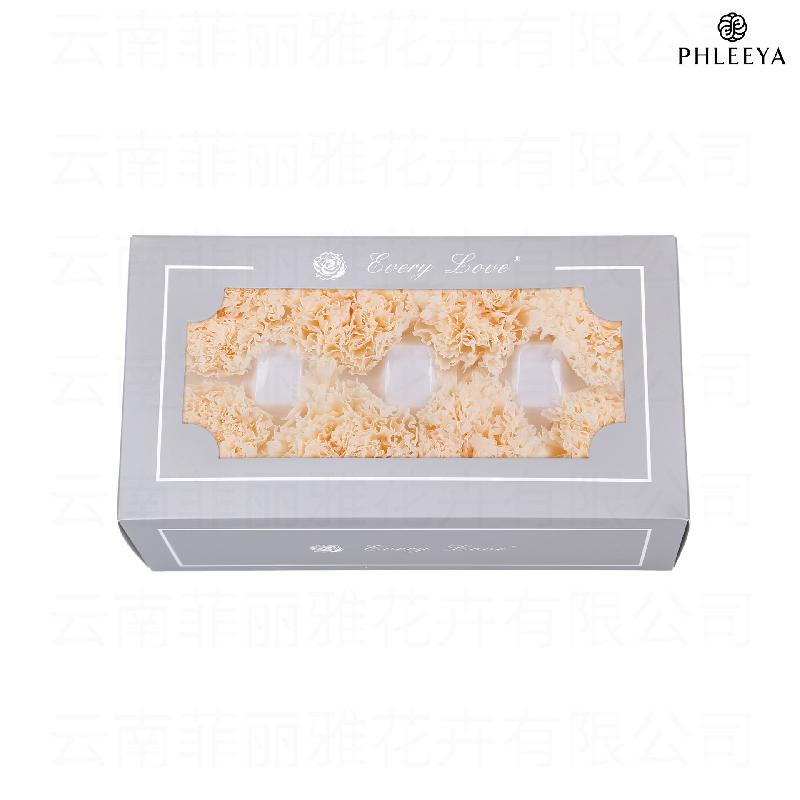 Hoa cẩm chướng vĩnh cửu 8 bông DIY quà Ngày của Mẹ (HK-30)
