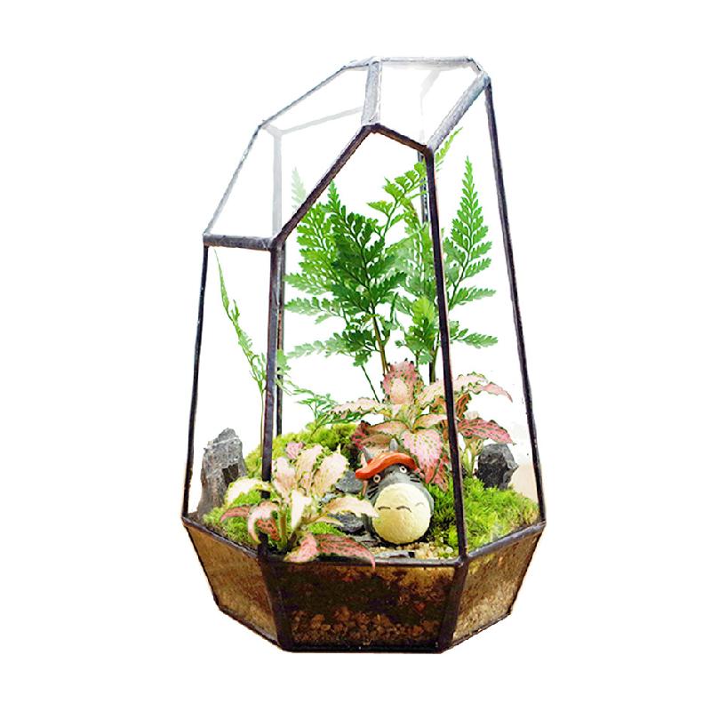 DG-10 Tạo cảnh quan rừng mưa bằng sứ mệnh động tượng của bề mặt bàn tính