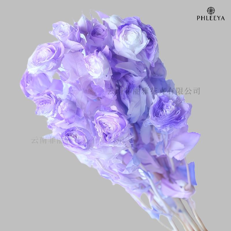 Hoa hồng chùm vĩnh cửu DIY hoa khô làm bó hoa cao cấp (HK-9)