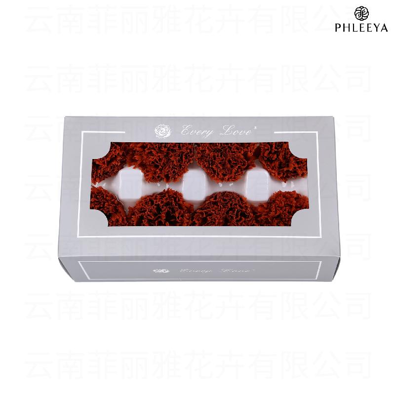 Hoa cẩm chướng vĩnh cửu 8 bông DIY quà Ngày của Mẹ (HK-30)
