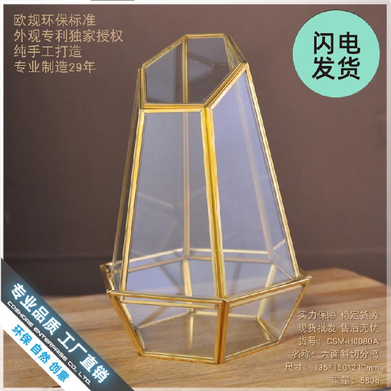 Nhà kính hình học viền đồng, hoa bất tử (DG-116)